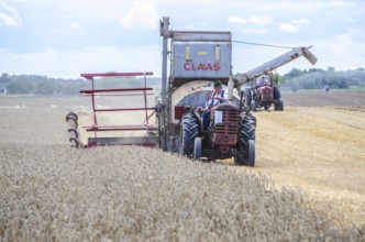Older tractor-drawn Claas combine harvester harvesting wheat at old-fashioned harvest festival in