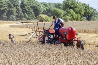 Older Allgaier-Porsche tractor with self-binder harvesting wheat at old-fashioned harvest festival