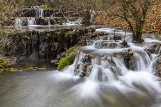 Sinterterrassen der Weißen Lauter, Bach, Water, Autumn, Donntal, Gutenberg, Swabian Jura,