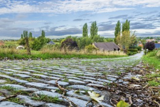 Hill of Koppenberg, Cobblestones at the cycling classic Tour of Flanders, Ardennes, Flanders,