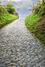Hill of Koppenberg, Cobblestones at the cycling classic Tour of Flanders, Ardennes, Flanders,
