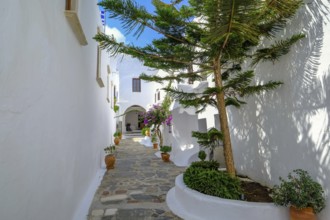 Ano Mera, Mykonos, Cyclades, Greece - The Panagia Tourliana monastery is the center of Ano Mera.