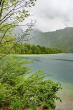 Landscape of Lake Offensee on a rainy day in spring, Salzkammergut, Austria