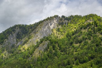 View into the mountains next to Lake Offensee on a rainy day in spring, Salzkammergut, Austria,