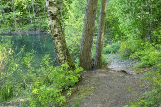 Landscape of a little lake on a sunny day in spring, Upper Palatinate, Bavaria, Germany