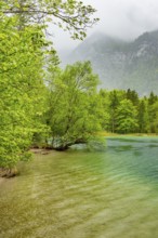 Landscape of Lake Offensee on a rainy day in spring, Salzkammergut, Austria