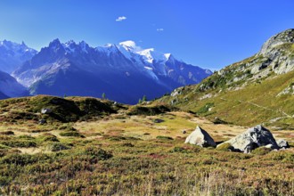Autumnal landscape with snow-covered Mont Blanc massif in the background, Chamonix-Mont-Blanc,