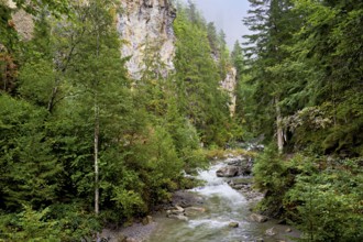 Diosaz mountain river in the gorge, Gorges de la Diosaz, Les Houches, Chamonix-Mont-Blanc,