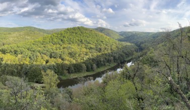 Autumn landscape, river loop, river Thaya, National Park Thayatal, Lower Austria, Austria