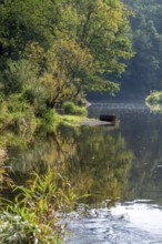 Autumn landscape, trees reflected in water, Thaya River, Thaya Valley National Park, Lower Austria,