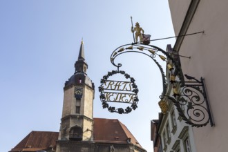 Ratskeller nose sign, in the background the tower of St. Wenzel City Church, Naumburg (Saale),