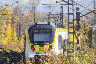 Local train on an open route in the area of Stuttgart North Station. Arched bridge and landscape in