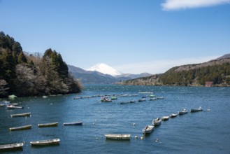 Attached rowing boats, view of Lake Ashi with Mount Fuji volcano, Hakone, Japan