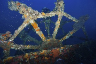 Wheel of a shipwreck covered with sea sponges in the Mediterranean near Hyères, dive site Wreck