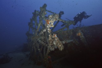 Diver near a shipwreck covered by sea sponges, in dark blue water in the Mediterranean near Hyères,