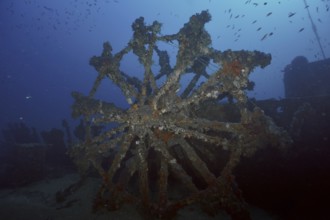 A large paddle wheel covered by sea sponges in a dark underwater setting in the Mediterranean near