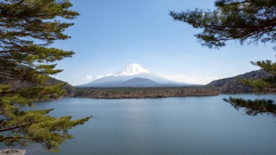 View across the lake to Mt Fuji volcano, Motosu Lake, Yamanashi Prefecture, Japan