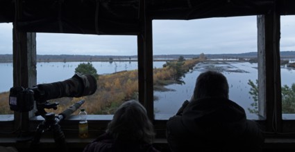 Bird watchers in the observation tower, Tister Bauernmoor, Tiste, Samtgemeinde Sittensen, Lower