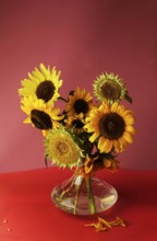Picturesque still life with sunflowers in a vase, Germany