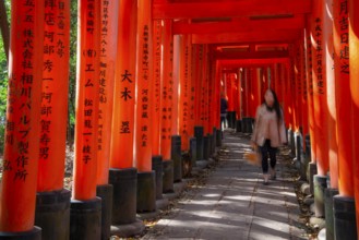 Visitors on a journey through hundreds of red traditional torii gates, Fushimi Inari-taisha, Shinto