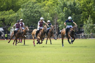 Scene at the 132nd Argentinean Open Polo Championship (Spanish Campeonato Argentino Abierto de