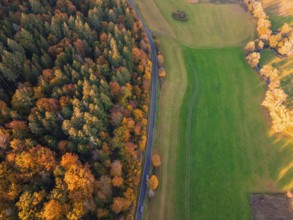 Road runs through a natural backdrop of colorful autumn forests and green fields in an aerial view,