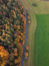 Aerial view of a road leading through colorful autumn forests and green fields. Pure nature,
