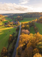Road crosses autumnal forests and green fields at dusk, pure nature, Lehenweiler, Aidlingen,