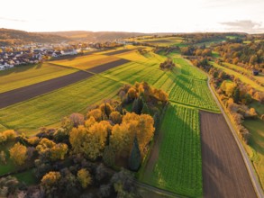 Idyllic landscape with green and golden fields in the warm light of autumn sun, Aidlingen,