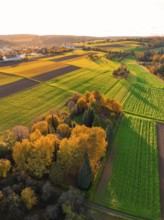 Large-scale autumn landscape with colorful trees and green fields, Aidlingen, Böblingen district,