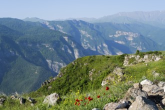 View of majestic mountains and green valleys with colorful wildflowers in the foreground, view of