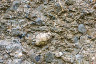 Close-up of conglomerate rock of menhir, standing stone showing clasts and matrix at Wéris,
