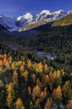 Mountain landscape, larch forest, autumn, autumn discoloration, morning light, aerial view,