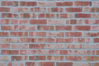 A uniformly masonry red brick wall with visible texture and structure