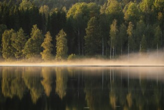 Rising fog in the evening light, lake in the forest, near Sunne, Sweden