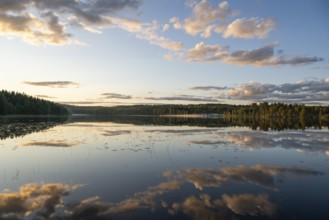 Clouds reflected on the water surface, forest lake, evening mood, at Sunne, Sweden