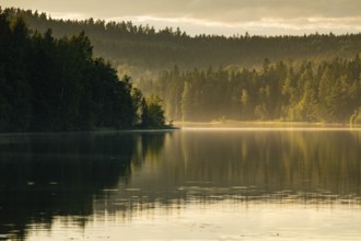 Evening atmosphere, lakeside, lake, surrounded by forest, near Sunne, Sweden
