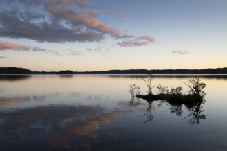 Clouds reflected on the water surface, silhouette of a small island, forest lake, evening mood, at