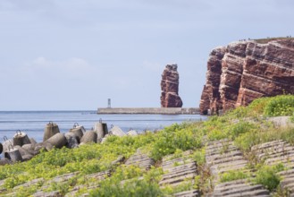 Sunny coastline with concrete tetrapods by the sea, coastal protection, protective wall, paved