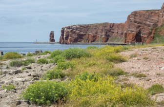 Sunny coastline with concrete tetrapods by the sea, coastal protection, protective wall, coastal
