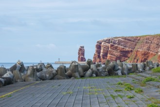 Sunny coastline with concrete tetrapods by the sea, coastal protection, protective wall, paved