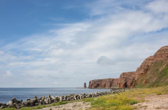 Wide, sunny coastline with concrete tetrapods by the sea, coastal protection, protective wall,