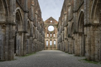 Ruins of the former Abbey of San Galgano, Tuscany, Italy