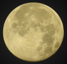 Detailed image of a full moon with visible craters and yellowish glow against a dark background,