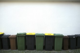 Garbage bins stand in front of house wall, green waste bin, brown bin for organic waste, black bin