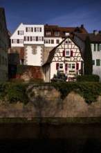 Painted tower, city wall, old town, river Metter, Bietigheim-Bissingen, Baden-Württemberg, Germany