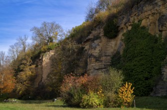 Enzfelswand, rocks on the banks of the Enz, Bietigheim-Bissingen, autumn, autumn colors,