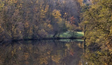 River Enz, Bietigheim-Bissingen, autumn, autumn colors, autumnal, Baden-Württemberg, Germany