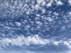 White medium-height cluster clouds above Altocumulus stratiformis below Altocumulus castellanus