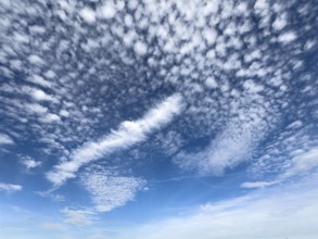 White high clouds in the upper half of the image Cirrocumulus in the center of the image, elongated